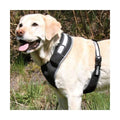 Trixie Flash Softgeschirr