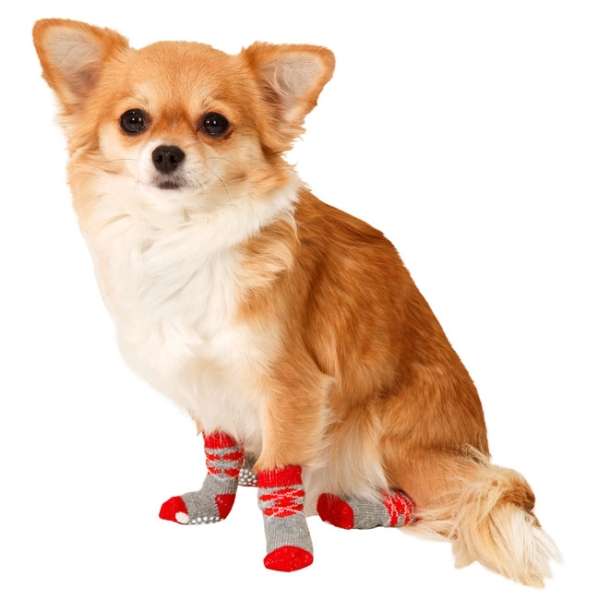 Karlie Doggy Socks Hundesocken 4er Set - Rot/Grau