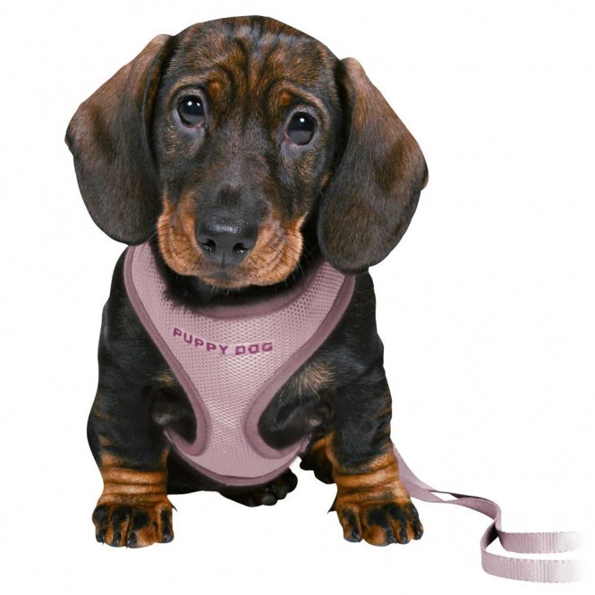 Trixie Junior Welpen-Softgeschirr mit Leine