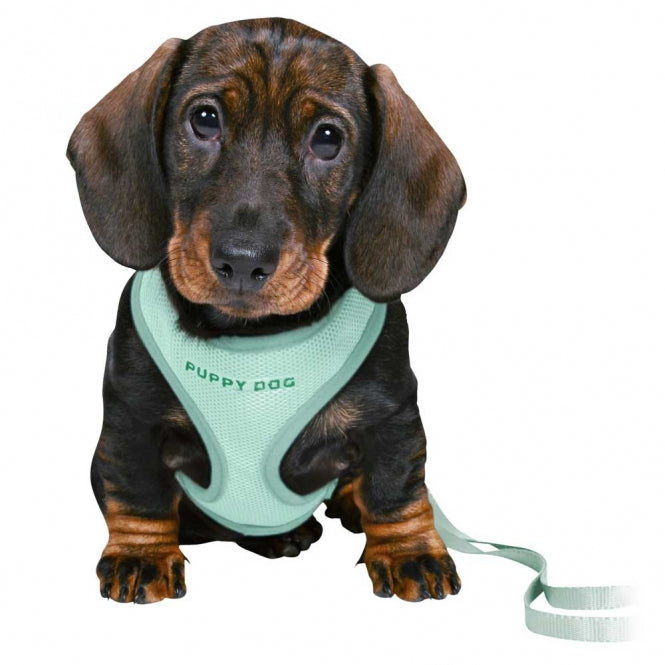 Trixie Junior Welpen-Softgeschirr mit Leine