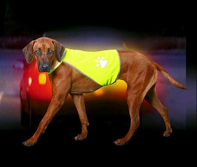 Karlie SAFETY-DOG Sicherheitsweste - Gelb