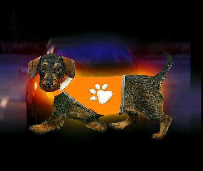 Karlie SAFETY-DOG Sicherheitsweste - Orange