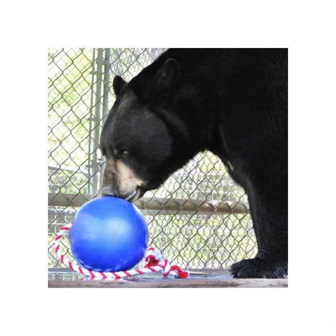 Tuggo Mini Ball - 7 Inch (ca. 17 cm) - von Tigern getestet!