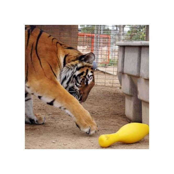 Tuggo Shake N Fetch - Small - von Tigern getestet!