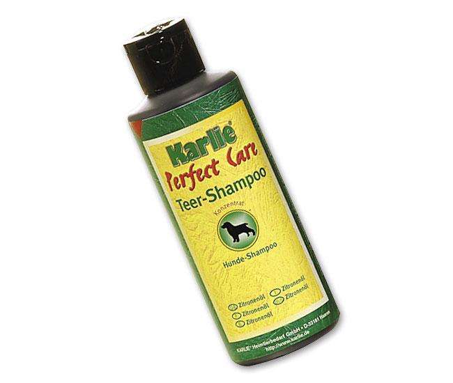 Karlie Teer-Shampoo