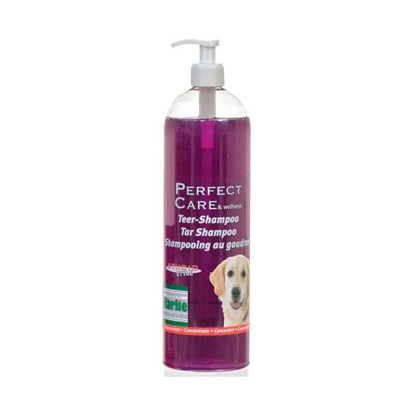 Karlie Teer-Shampoo