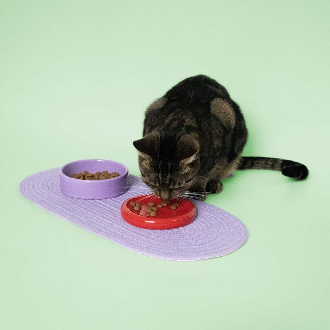 Coockoo Futternapf FUNKY FEEDING - rot/violett