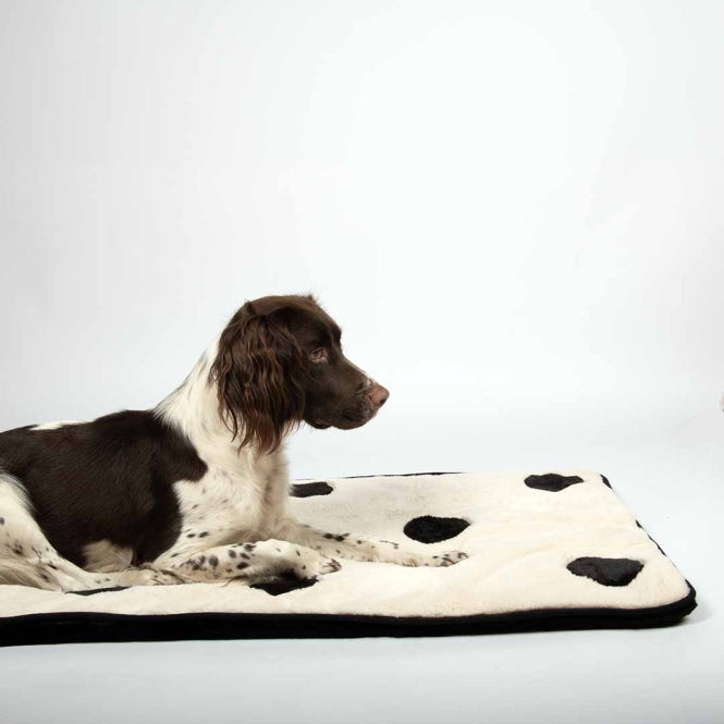 Coockoo Hundedecke Domino Dream - 120x60cm