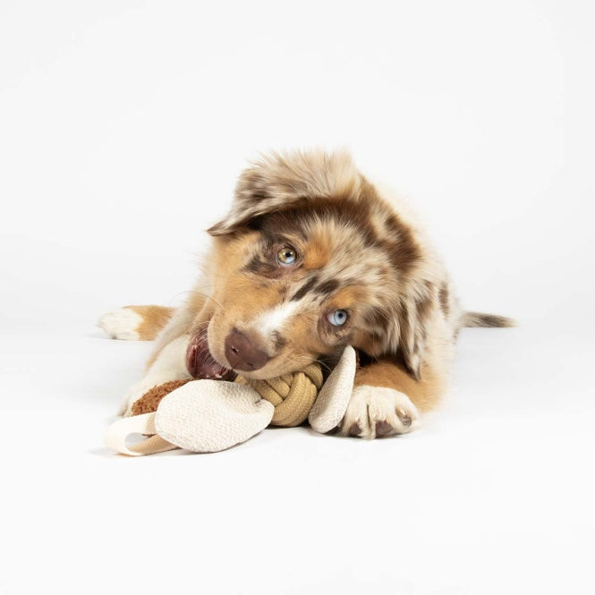 D&D Hundespielzeug Jule - sand