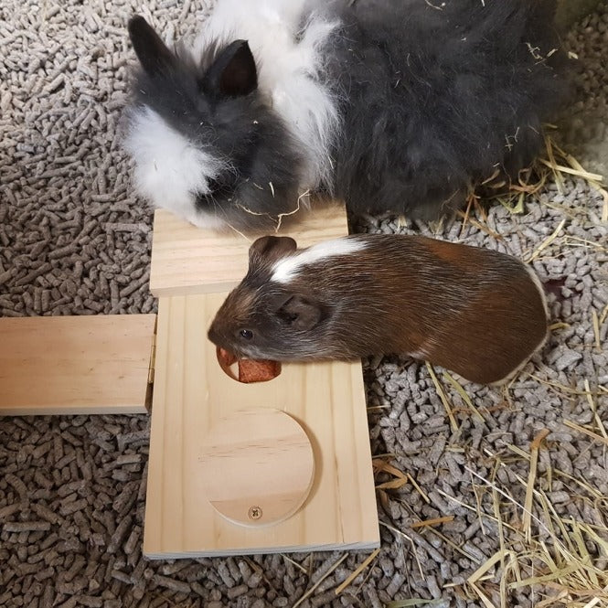 Duvoplus Sniffle n Snack Puzzle Dan