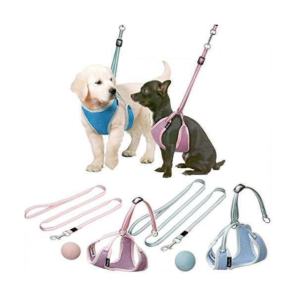 Karlie Flamingo Puppy Geschirr mit Leine - Blau