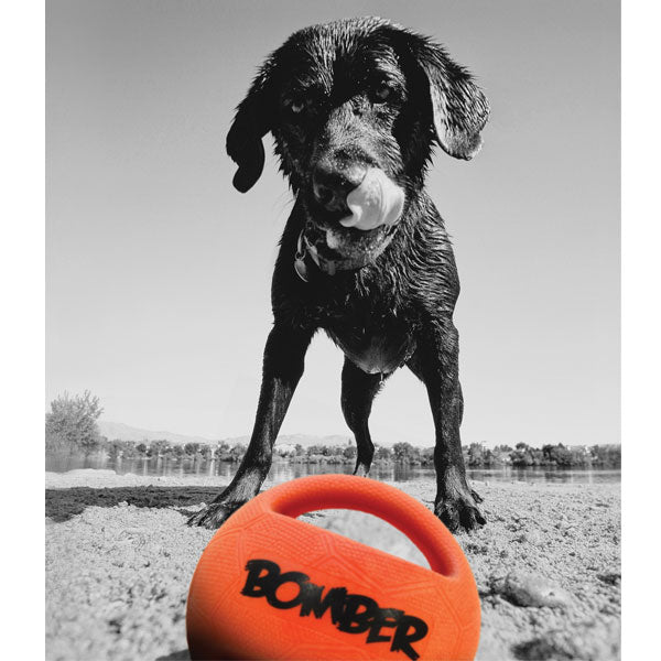 Durafoam Bomber by Zeus