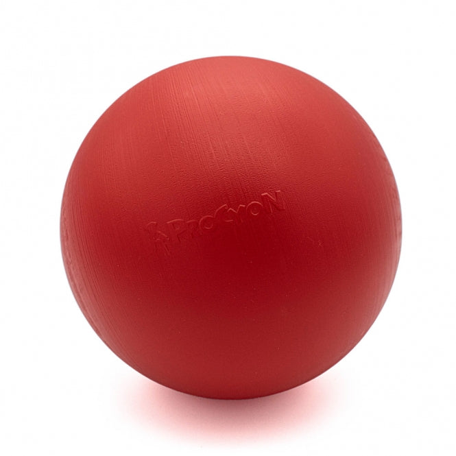 PROCYON Treibball Größe S - extra stabil