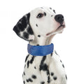 PROCYON Kühl-Bandana für Hunde
