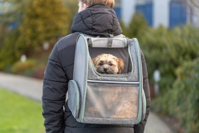 Trixie Rucksack Chloe - Hellgrau