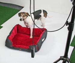 Pet-Star Bett/Kissen MONTANA, 72 cm
