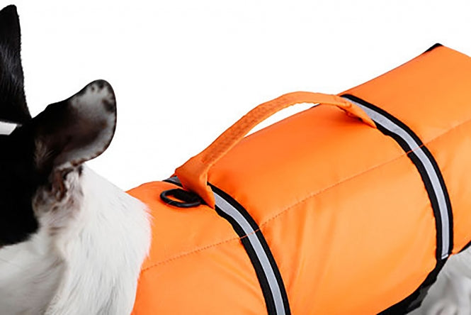 Kerbl Hunde-Schwimmweste