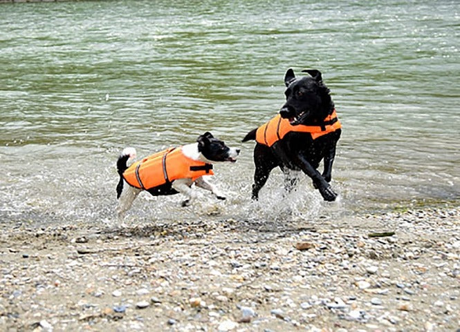 Kerbl Hunde-Schwimmweste