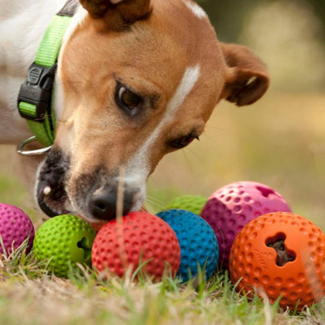 ROGZ GUMZ Hundeball, 7,8 cm - befüllbar