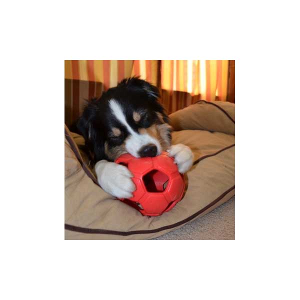 PETSPORT Turbo Kick Soccer Ball - 15 cm