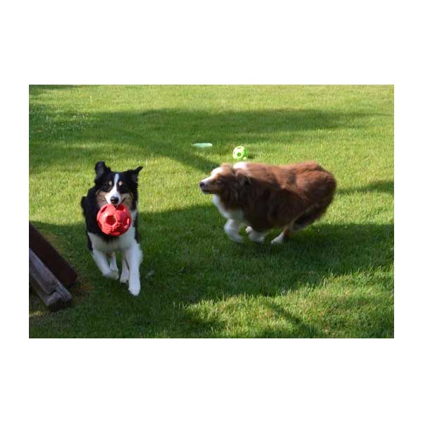 PETSPORT Turbo Kick Soccer Ball - 6,25 cm