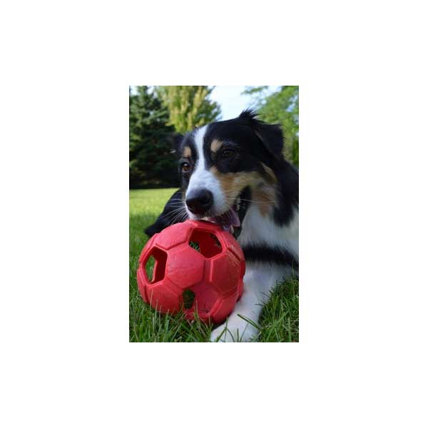 PETSPORT Turbo Kick Soccer Ball - 15 cm