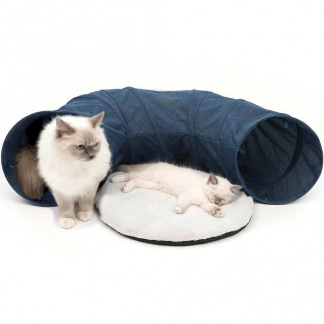 Vesper Katzen-Tunnel