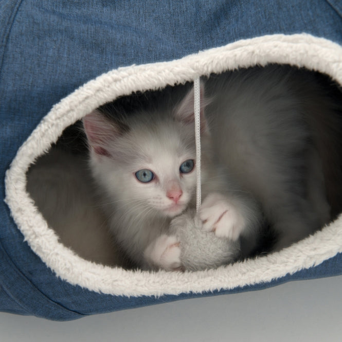 Vesper Katzen-Tunnel