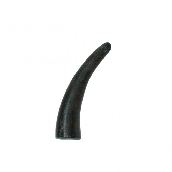 Viking whole Horn solid