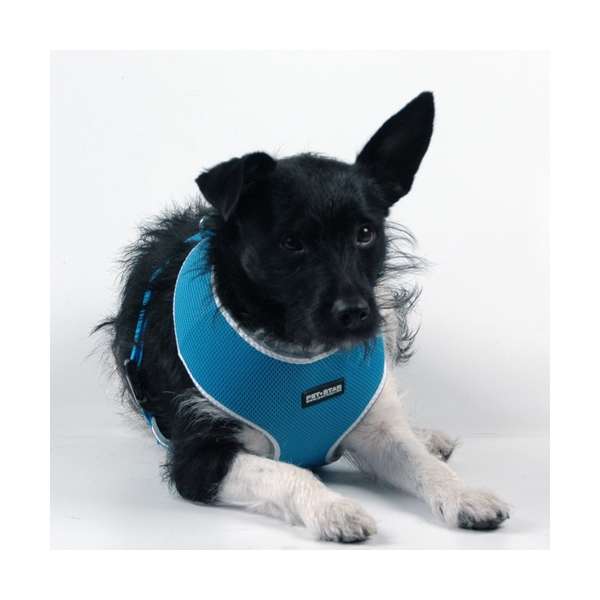 Pet-Star Softgeschirr / Netzgeschirr - Blau