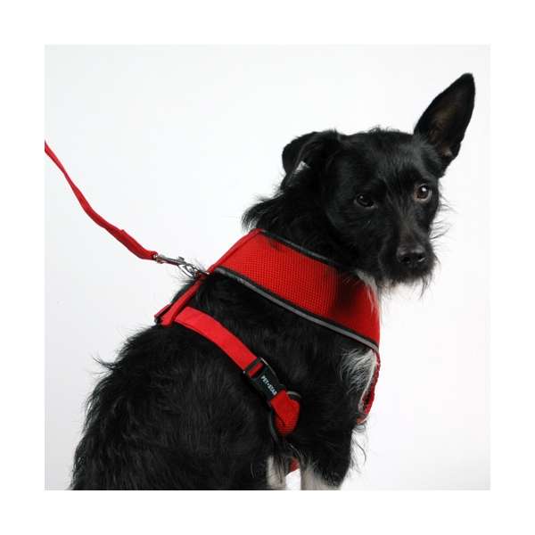 Pet-Star Softgeschirr / Netzgeschirr - Rot
