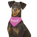 Karlie Flamingo Halstuch Krone mit Strass - Pink